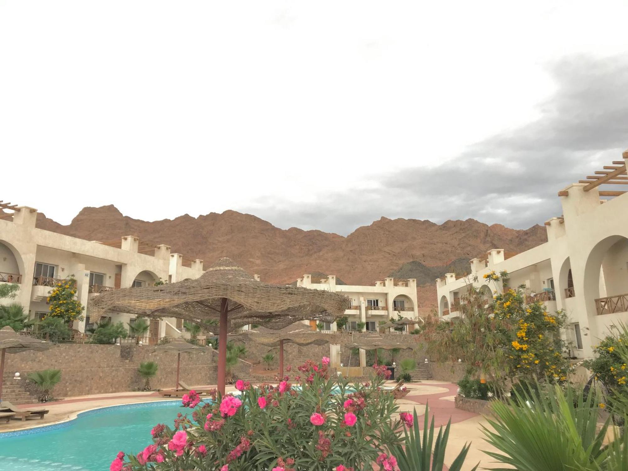 Sea View -sunnydahab Apartmán Dahab